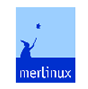 merlinux GmbH